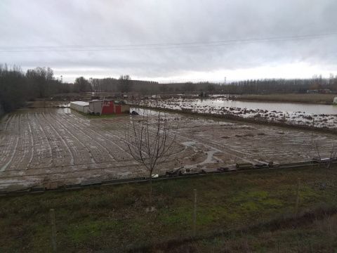 Valencia de Don Juan