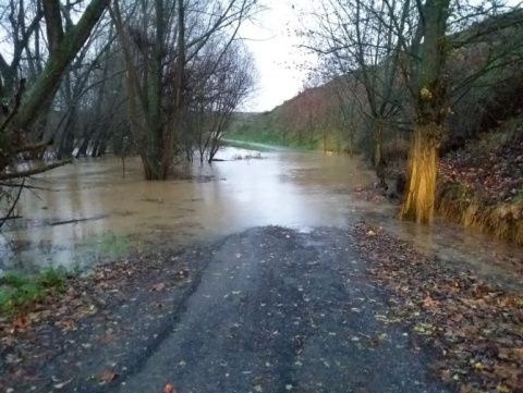 Valderas. Foto: Alejandra Alonso