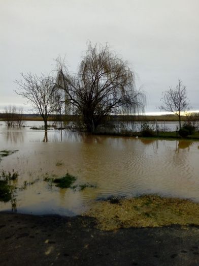 Bariones de la Vega esta ma&ntilde;ana. Foto: Mar&iacute;a Teresa Fraile