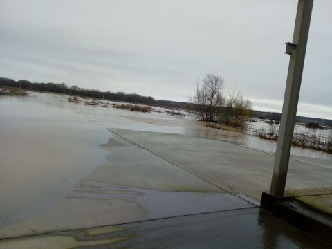 Bariones de la Vega esta ma&ntilde;ana. Foto: Mar&iacute;a Teresa Fraile