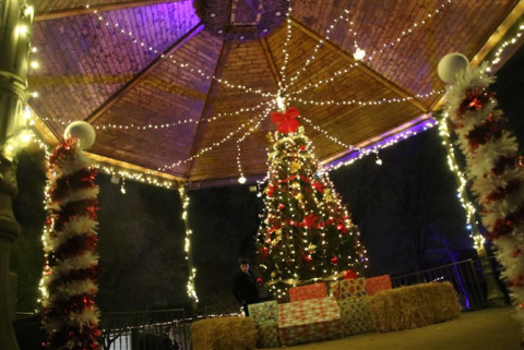 Todas las fotos del Jardín Mágico de Valencia de Don Juan