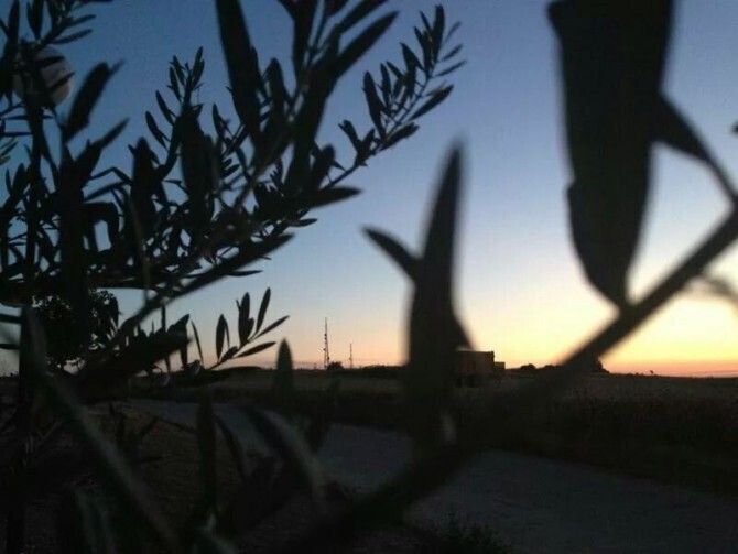 [Img #14415]