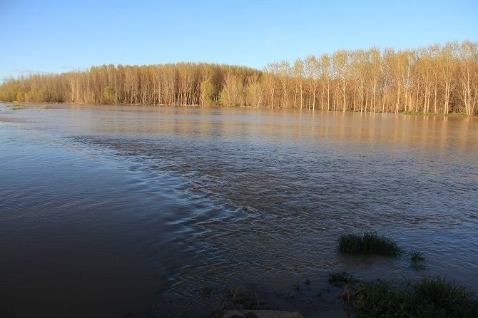 Tierras de Villaquejida convertidas en auténticos mares